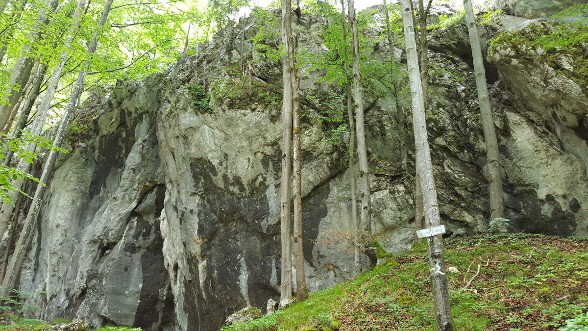 Der Israelit am Alpsee