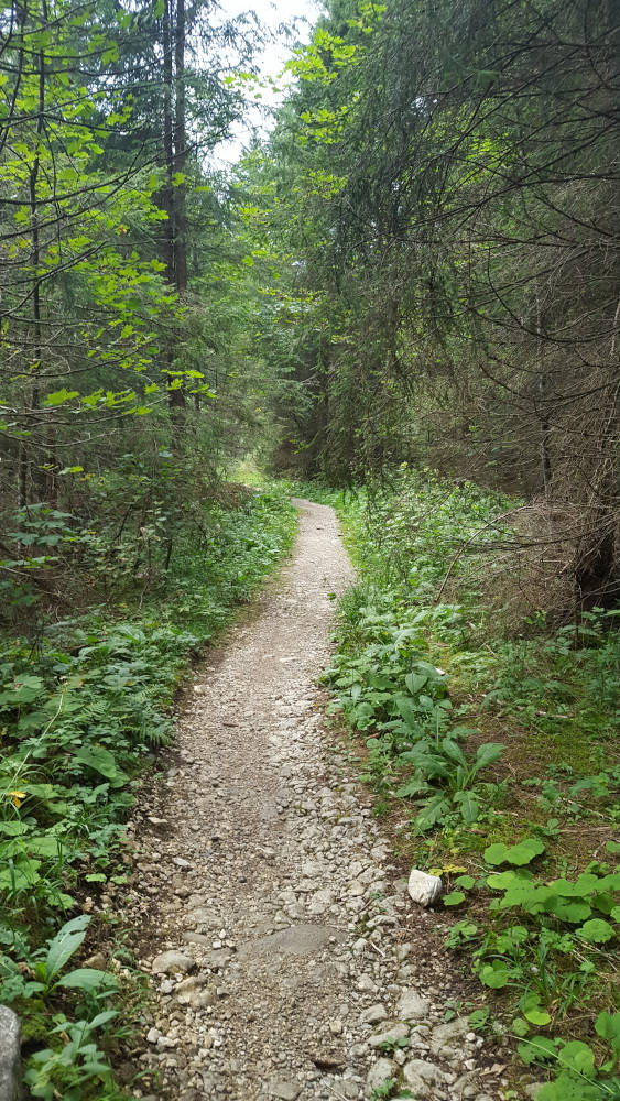 Wanderweg über die Kohlstattalm zur Benediktenwand