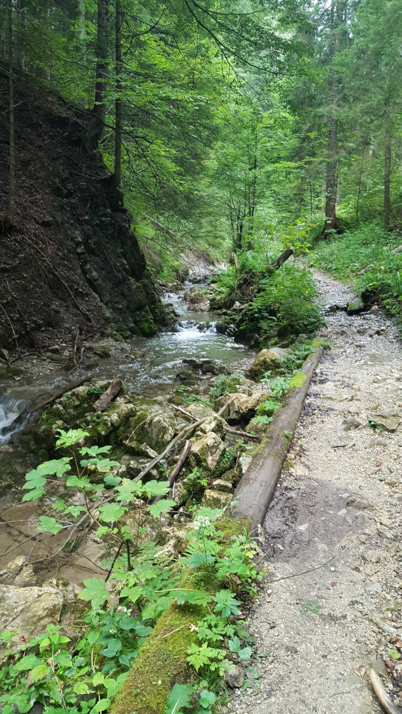 Wanderweg über die Kohlstattalm zur Benediktenwand