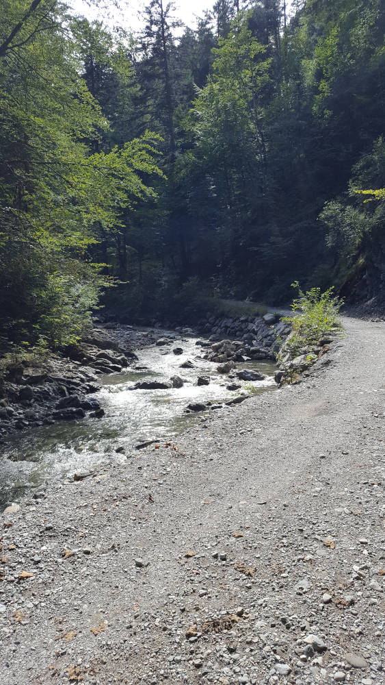 Wanderweg im Lainbachtal zur Benediktenwand