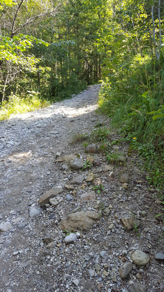 Wanderweg im Lainbachtal zur Benediktenwand