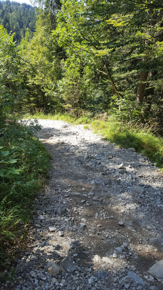 Wanderweg im Lainbachtal zur Benediktenwand