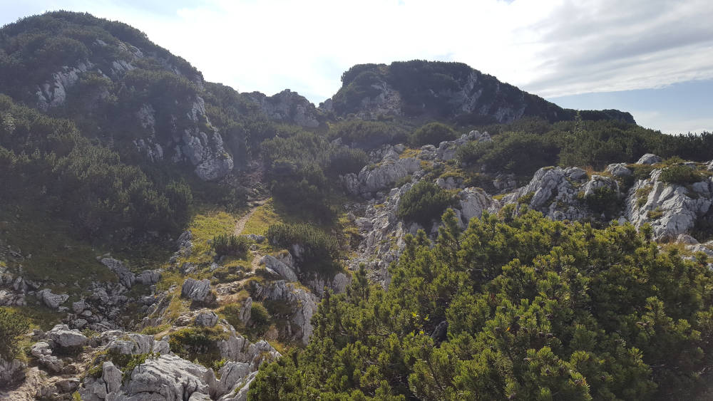 Ostweg zur Benediktenwand