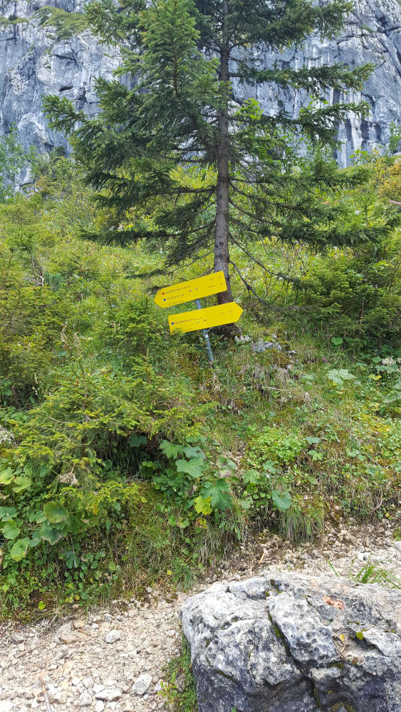 Schilderbaum zur Benediktenwand