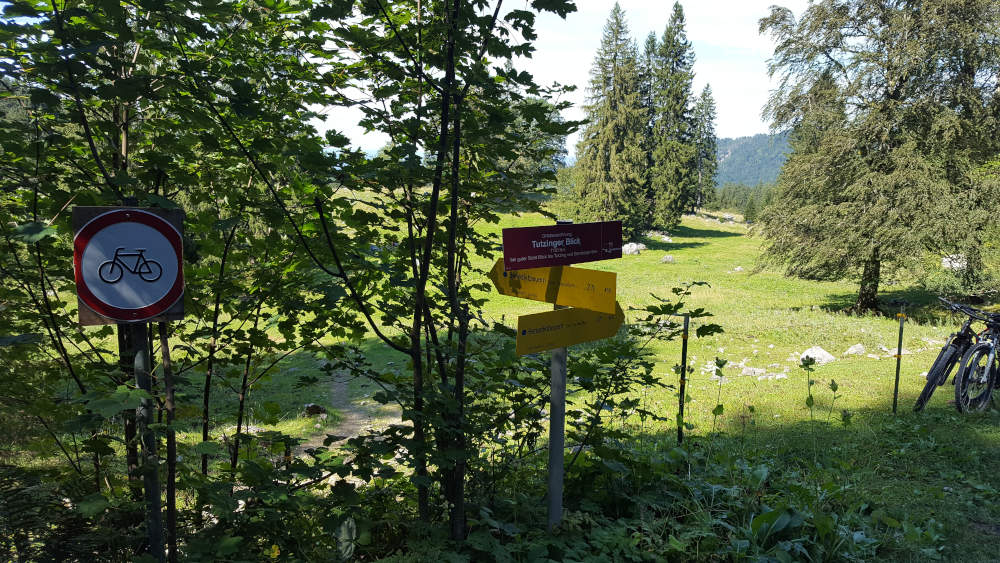 Schilderbaum beim Tutzinger Blick