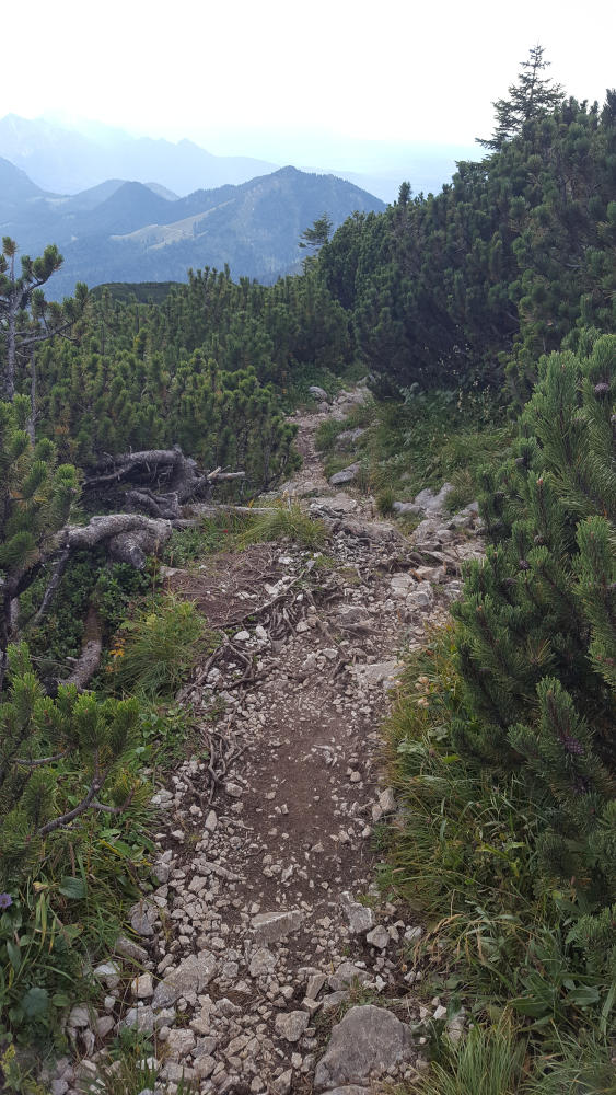 Westweg Abstieg von der Benediktenwand
