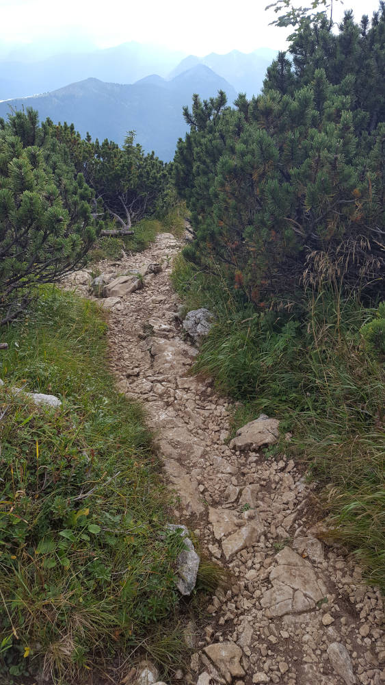 Westweg Abstieg von der Benediktenwand