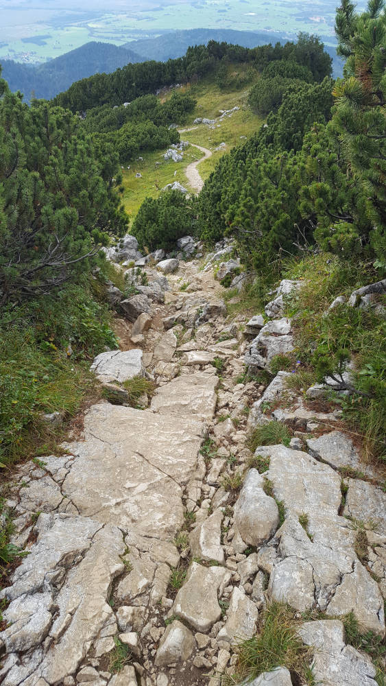 Westweg Abstieg von der Benediktenwand
