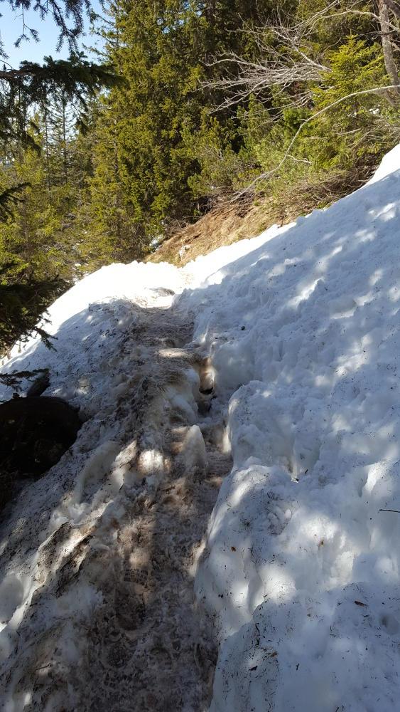 Wanderweg Herzogstand Schnee