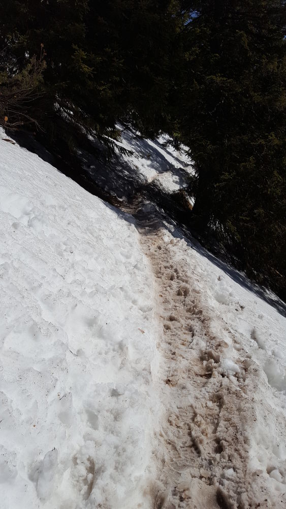 Wanderweg Herzogstand Schnee