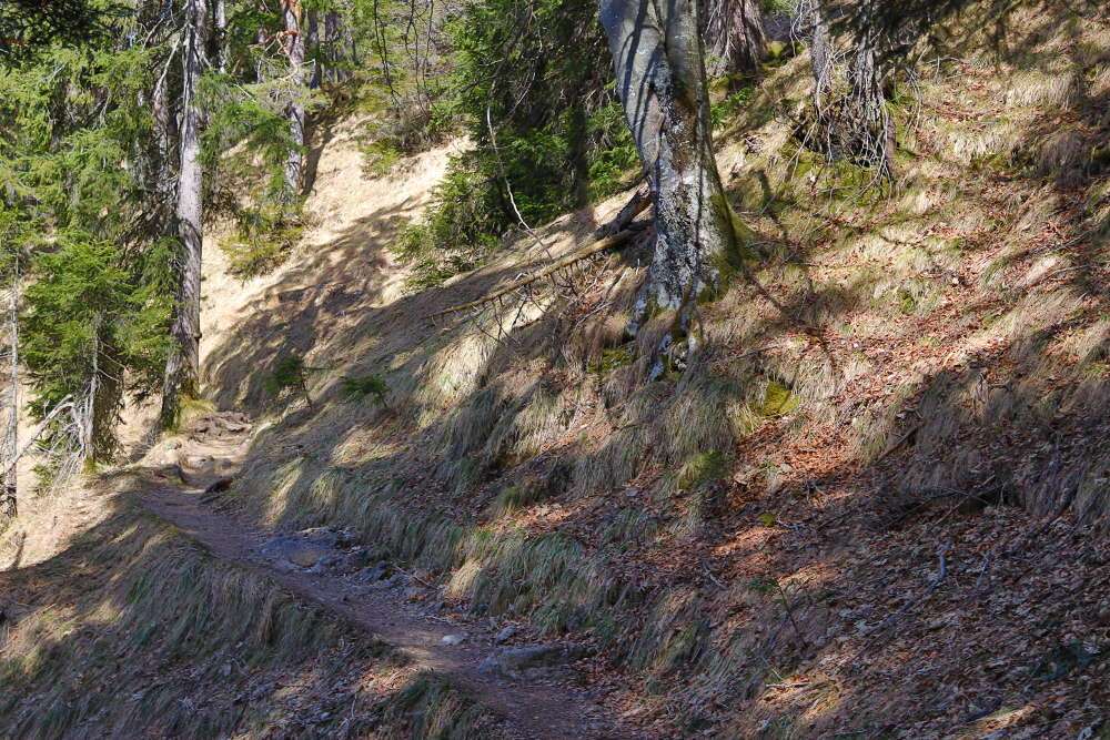 Wanderweg Herzogstand