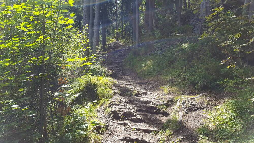 Blindsee Wanderweg zum Zugspitzblick