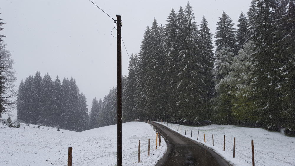 Straße zur Alpe Hinter der Enge