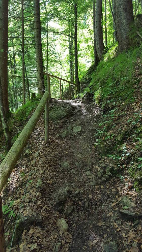 Reichenbachklamm Wanderweg