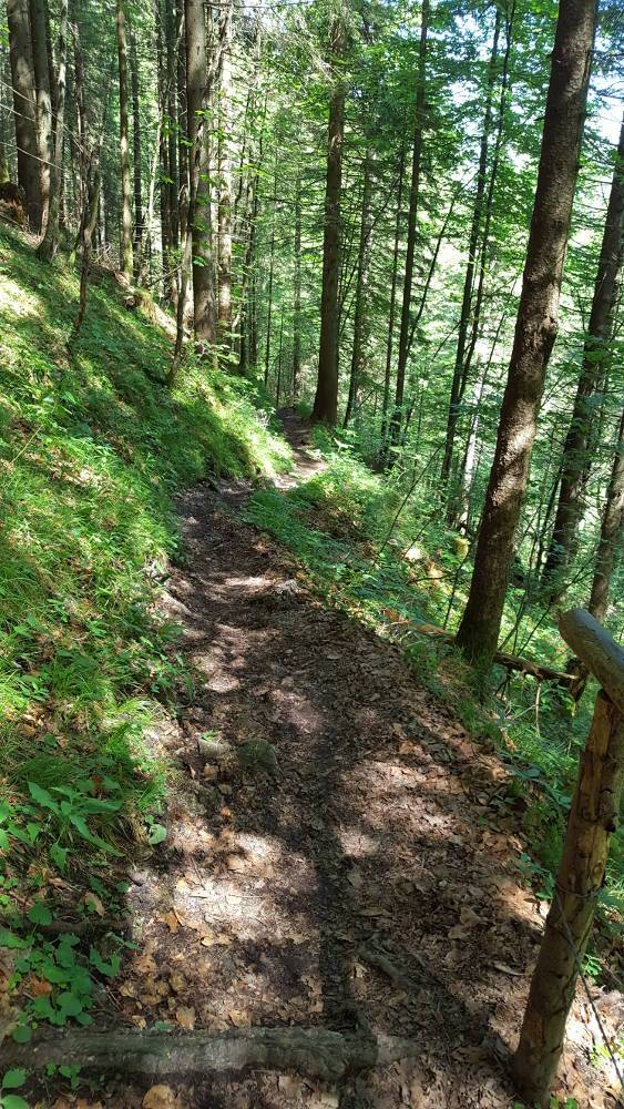 Reichenbachklamm Wanderweg