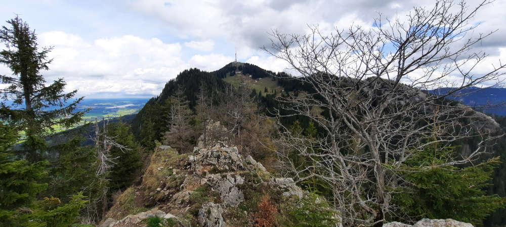 Aussicht vom Burgberger Hörnle