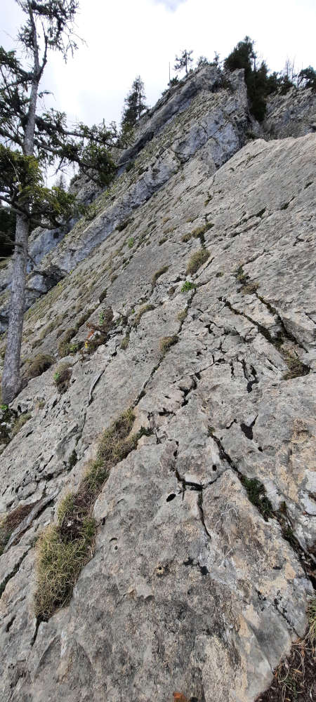 Südgrat Burgberger Hörnle