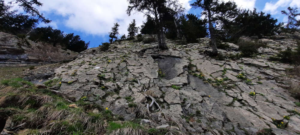 Einstieg vom Südgrat des Burgberger Hörnles