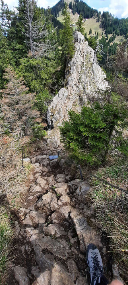 Übergang Burgberger Hörnle zum Siechenberg