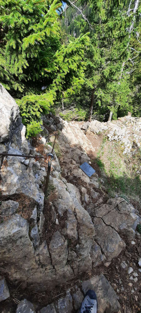 Übergang Burgberger Hörnle zum Siechenberg