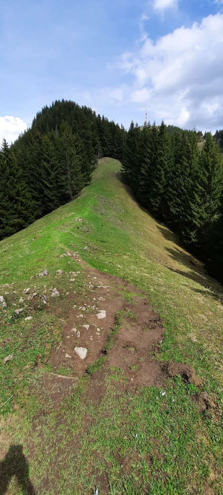 Übergang Burgberger Hörnle zum Siechenberg