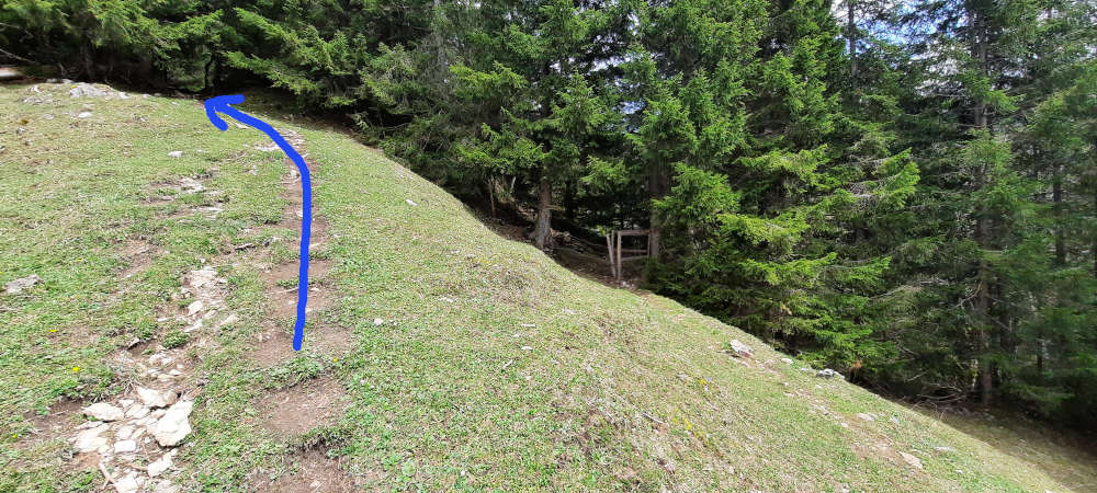 Übergang Burgberger Hörnle zum Siechenberg