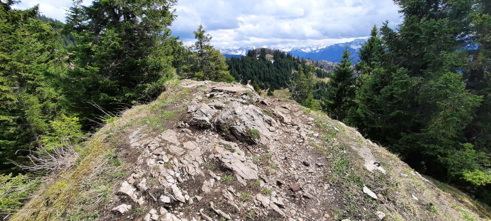 Gipfel vom Siechenberg ohne Gipfelkreuz
