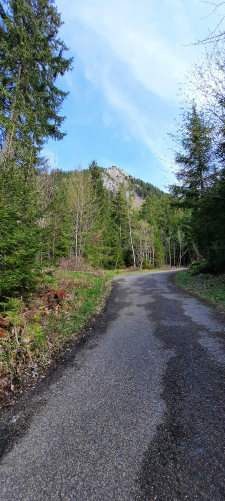 Wanderweg Burgberger Hörnle