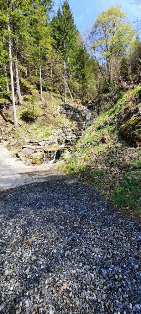 Wanderweg Burgberger Hörnle