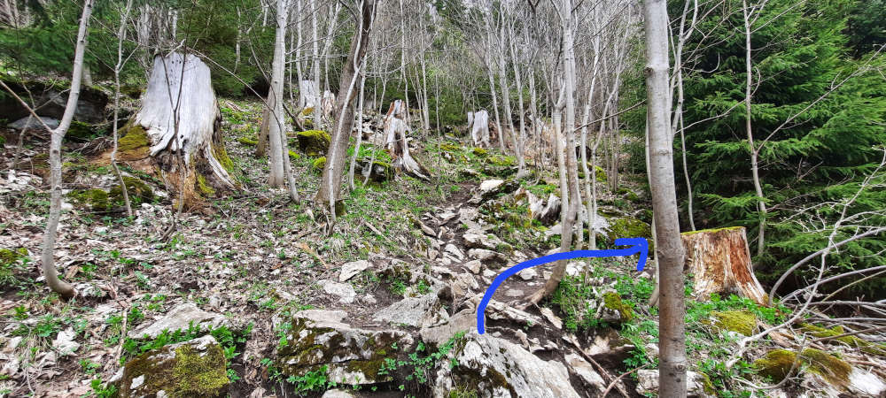 Wanderweg Burgberger Hörnle