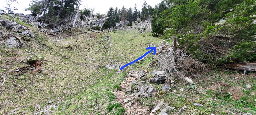 Wanderweg Burgberger Hörnle