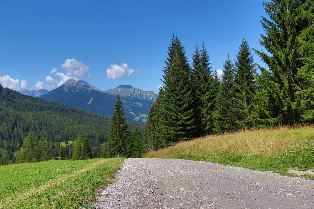 Ehrwalder Alm Wanderweg