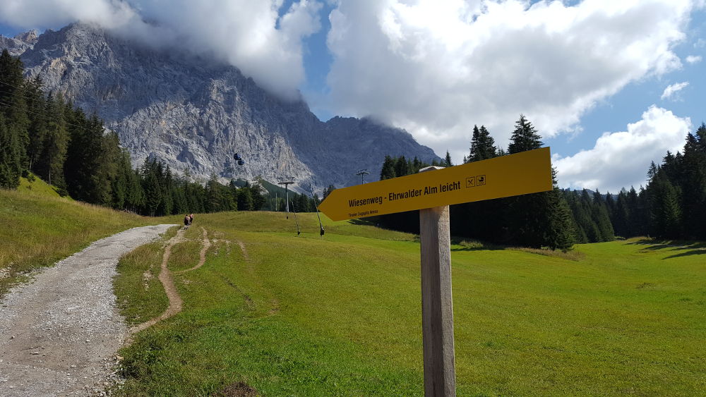 Ehrwalder Alm Wiesenweg