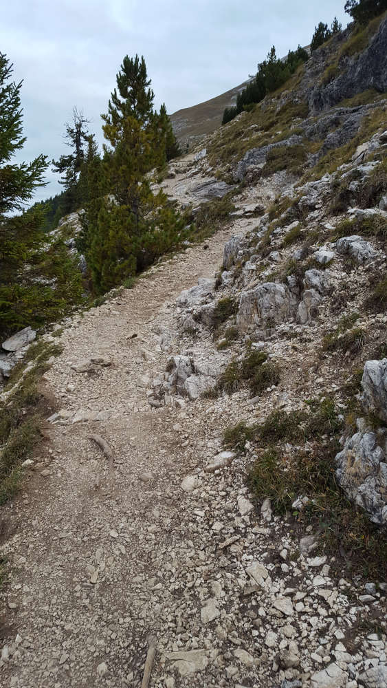 Wanderweg zum Dürrenstein
