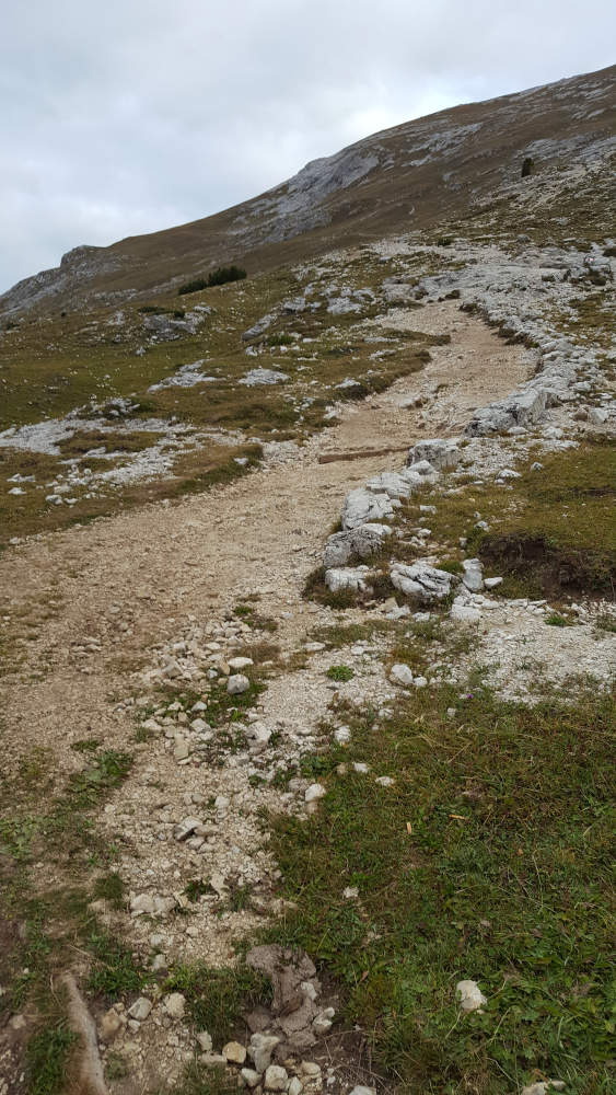 Wanderweg zum Dürrenstein