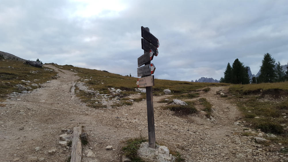 Schilderbaum beim Wanderweg zum Dürrenstein