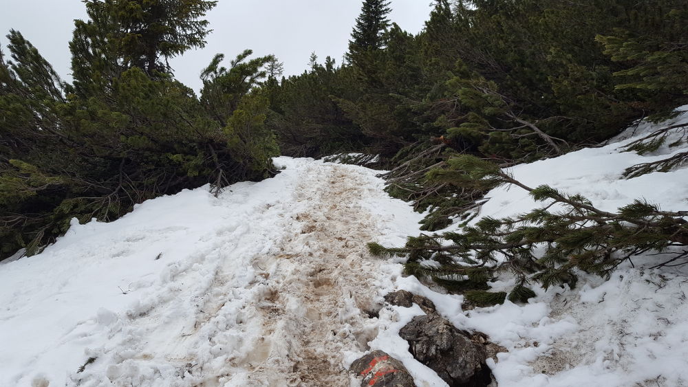 Ebner Joch Wanderweg mit Schnee