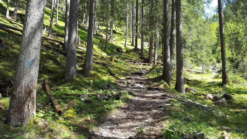 Erfurter Hütte Wanderweg