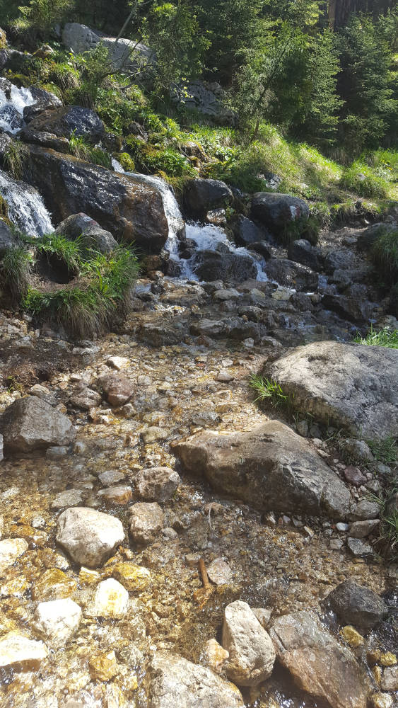 Erfurter Hütte Wanderweg Bachüberquerung