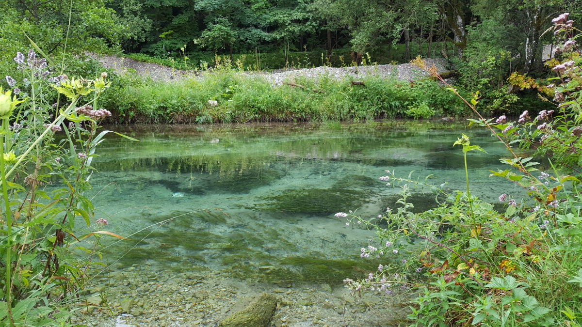 Nebenfluss des Ammers