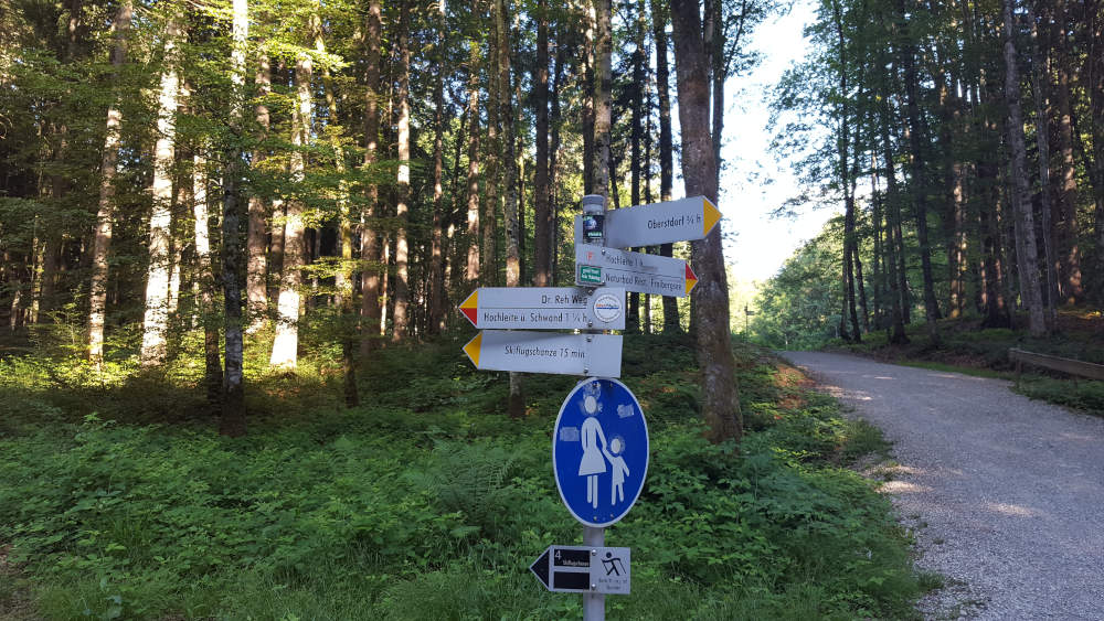 Schilderbaum kurz vor dem Naturbad Restaurant Freibergsee