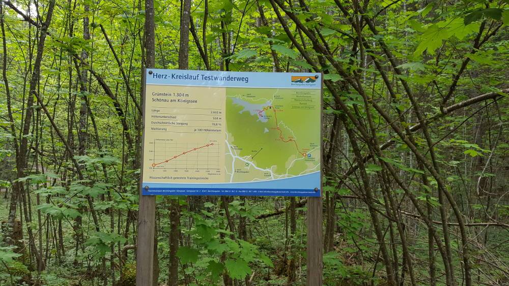 Grünstein Herz Kreislauf Testwanderung