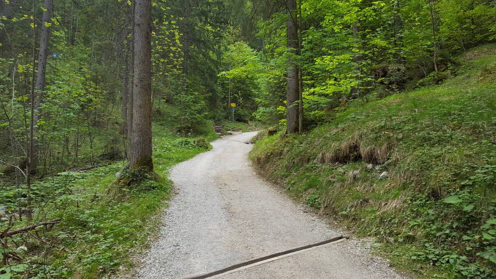 Grünstein Wanderung Abzweigung