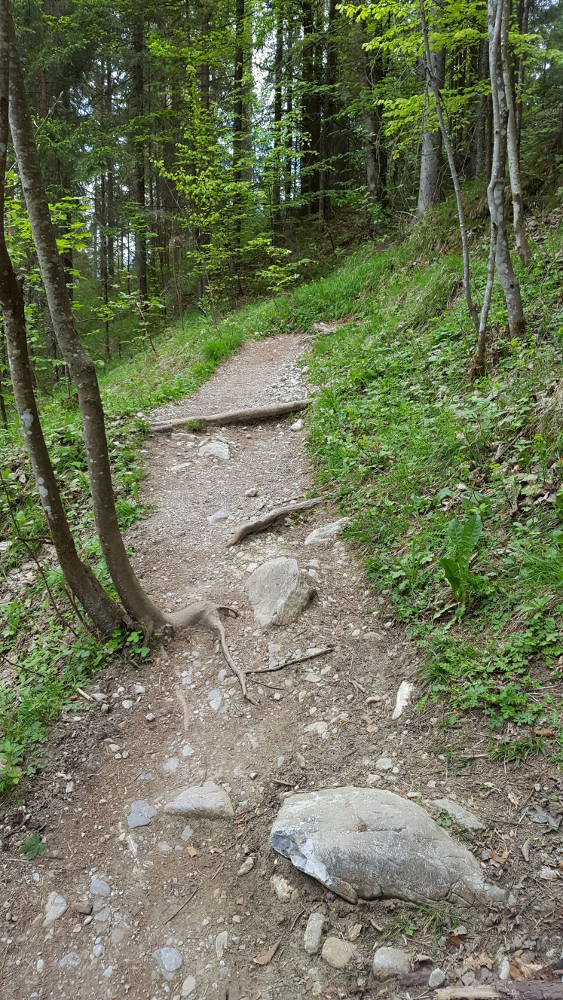 Grünstein Wanderweg Kehren