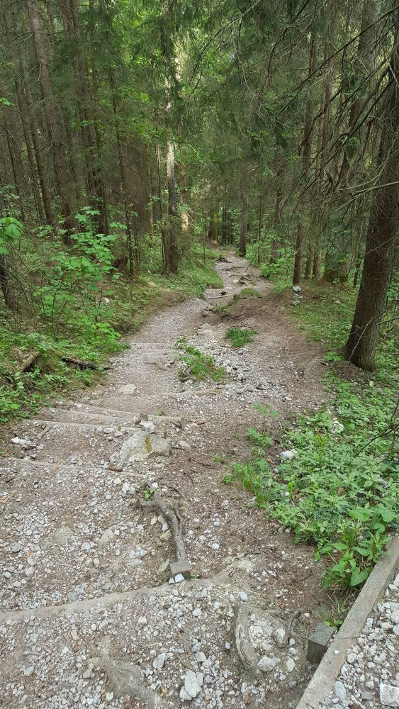 Grünstein Wanderweg Kehren