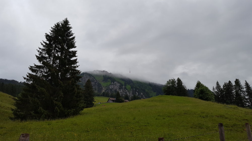 Grünten im Nebel vom Wanderparkplatz der Alpe Kammeregg