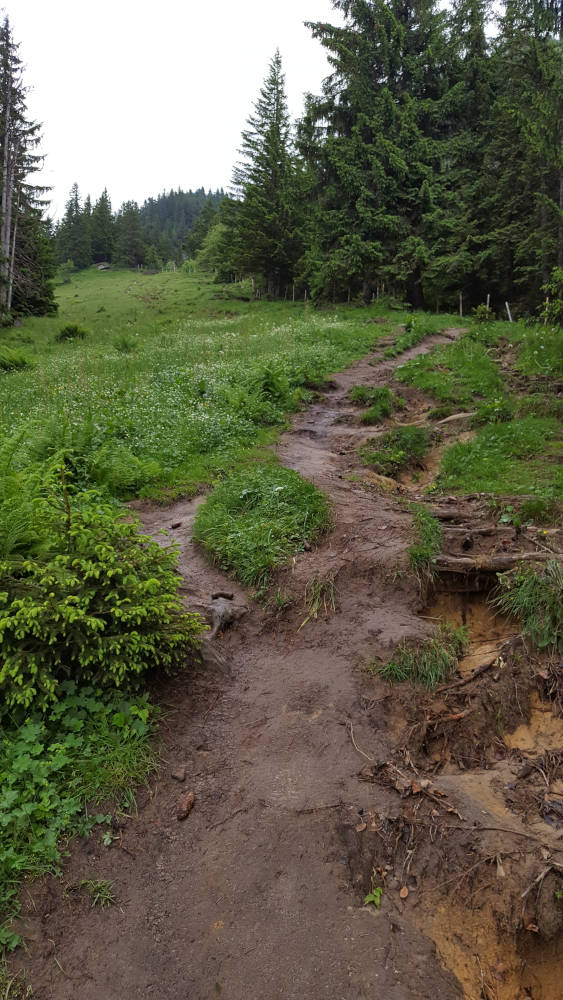 Wanderweg zum Grünten
