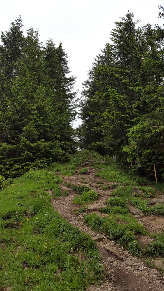 Wanderweg zum Grünten