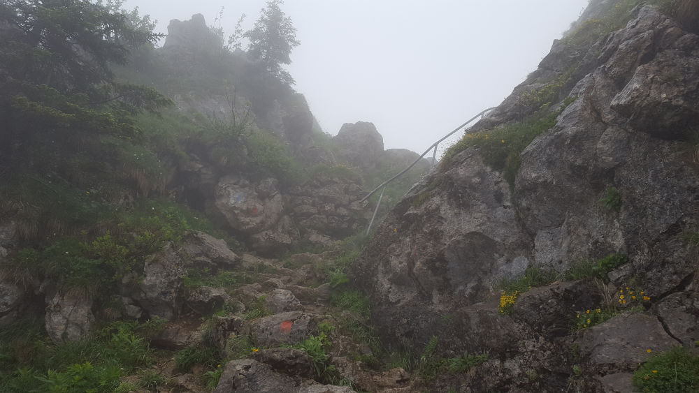 Wanderweg zum Grünten mit Geländer