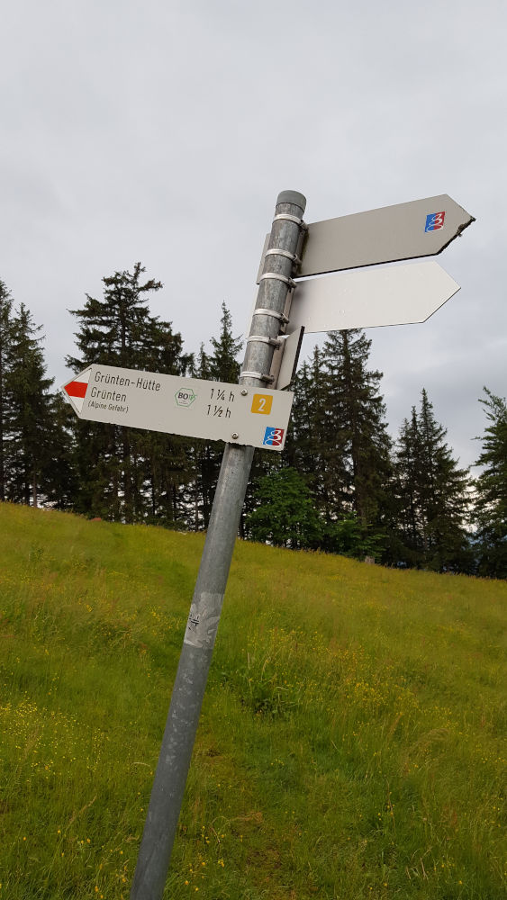 Schilderbaum beim Wanderweg Richtung Grünten nahe Alpe Kammeregg